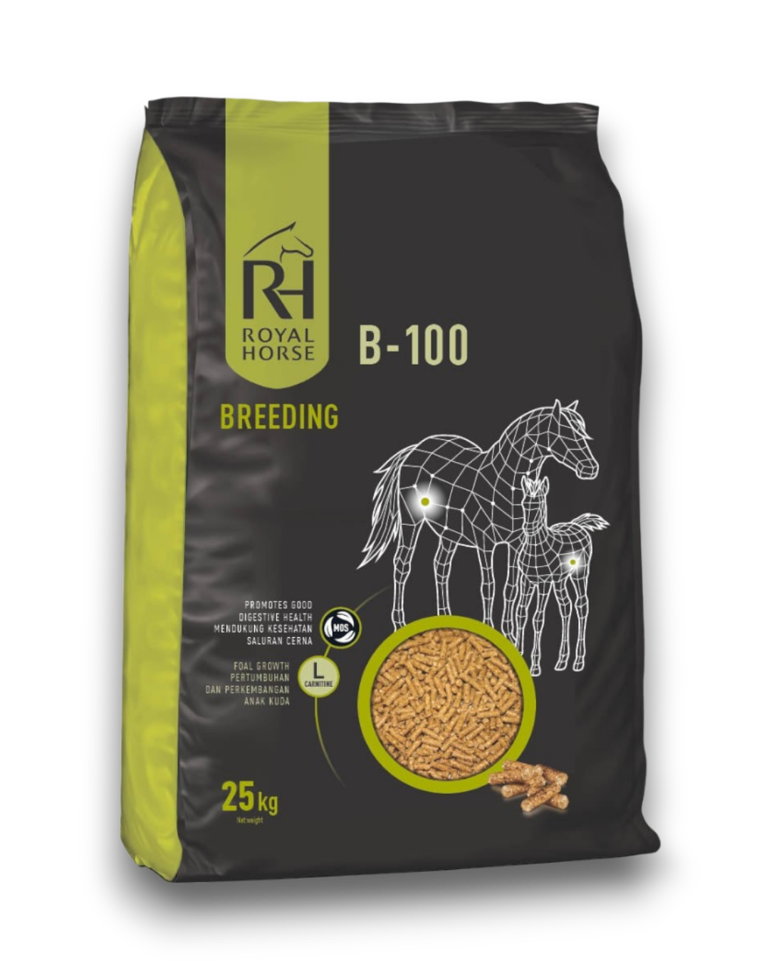 Coret coretan 1080 x 1350 (2)